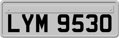 LYM9530