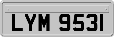 LYM9531