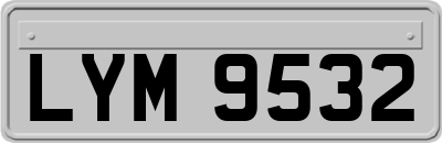 LYM9532