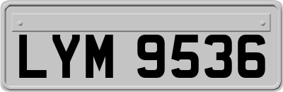 LYM9536