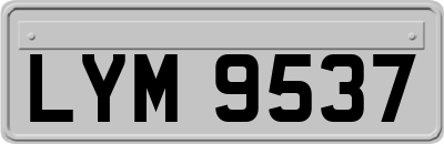 LYM9537