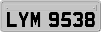LYM9538