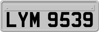 LYM9539