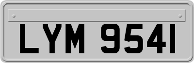 LYM9541