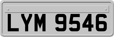 LYM9546