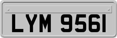 LYM9561