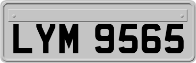 LYM9565