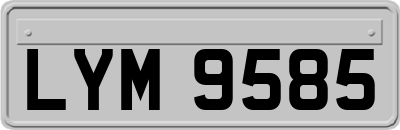 LYM9585