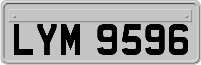 LYM9596