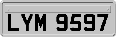 LYM9597