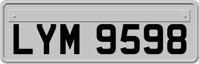 LYM9598