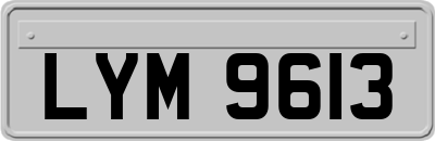 LYM9613