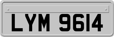 LYM9614