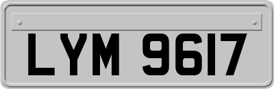 LYM9617