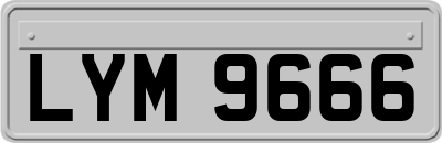 LYM9666