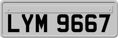 LYM9667