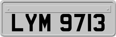 LYM9713