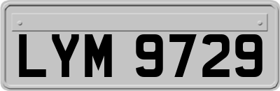 LYM9729