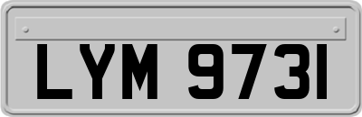 LYM9731