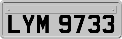LYM9733