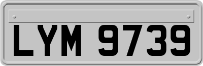 LYM9739