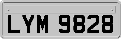 LYM9828