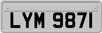 LYM9871