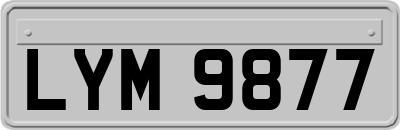 LYM9877