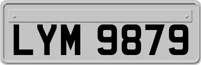 LYM9879