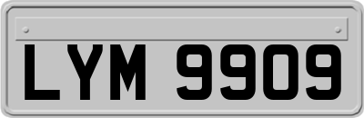 LYM9909