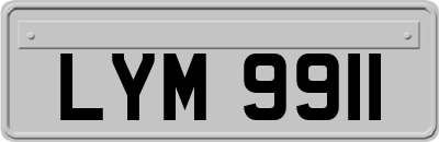 LYM9911