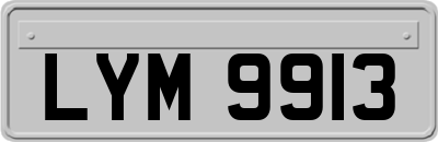 LYM9913