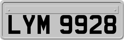 LYM9928