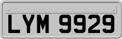 LYM9929