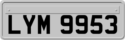 LYM9953