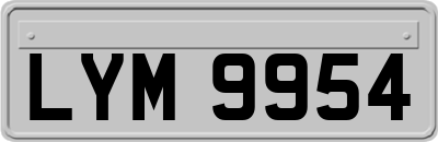 LYM9954