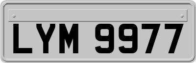 LYM9977