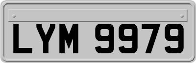 LYM9979