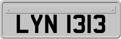 LYN1313