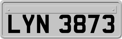LYN3873