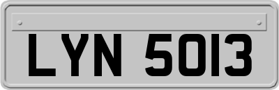 LYN5013