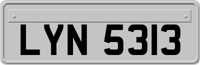 LYN5313