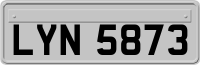LYN5873