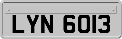 LYN6013