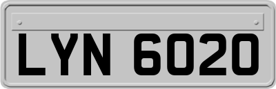 LYN6020