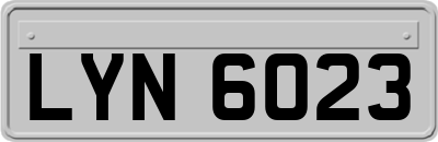 LYN6023