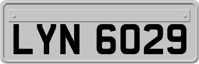 LYN6029