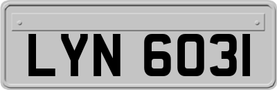 LYN6031
