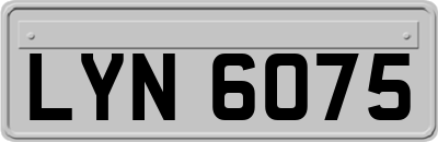 LYN6075