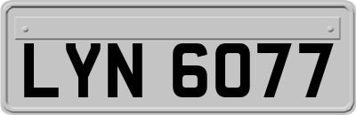 LYN6077